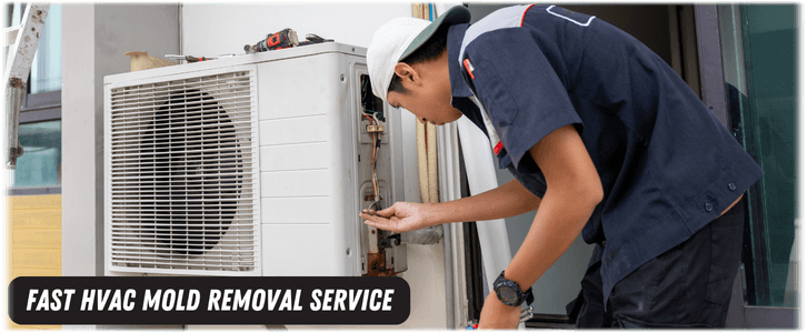 HVAC Mold Removal Vienna VA